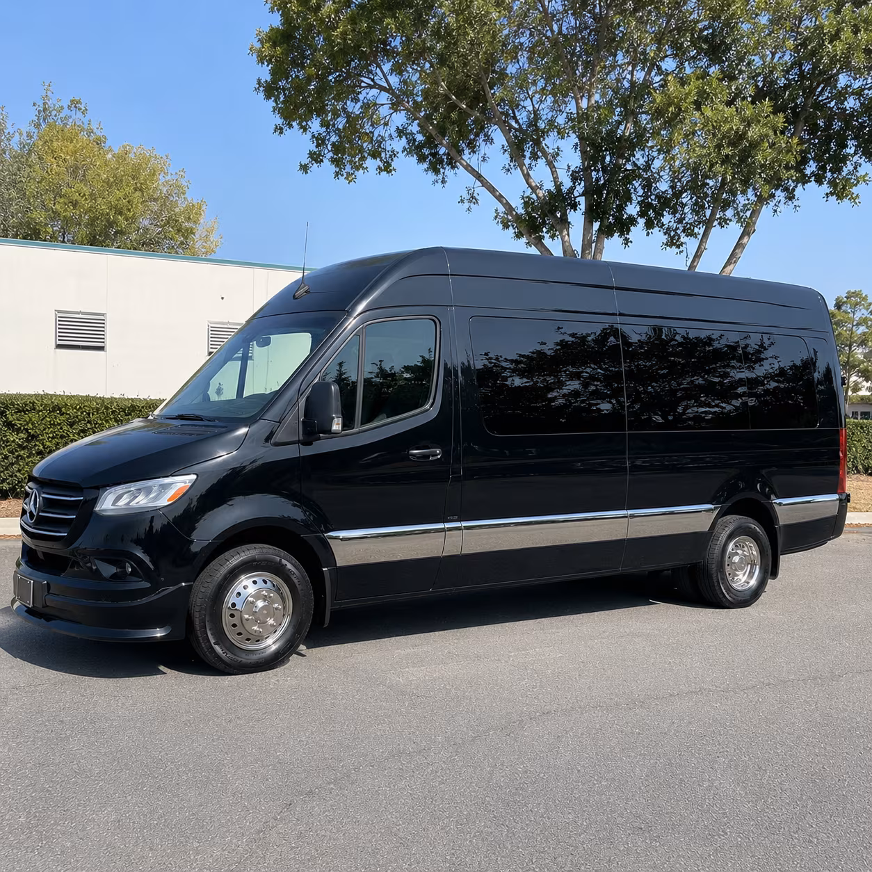 brockton 20 passenger sprinter van